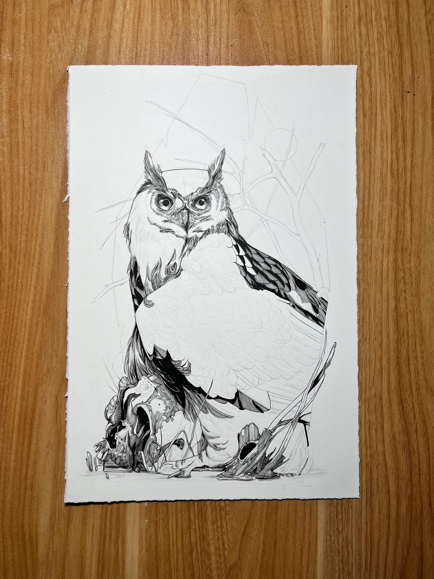 Scrapped Owl Drawing 2