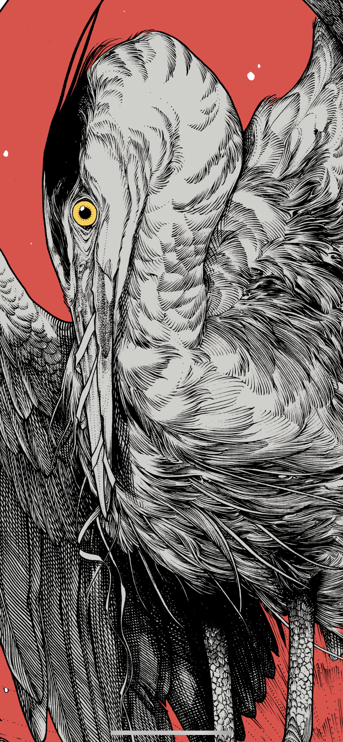 “Guilt” PRINT PREORDER