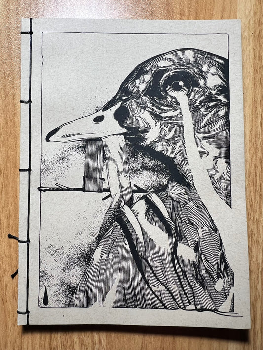 Duck Sketchbook
