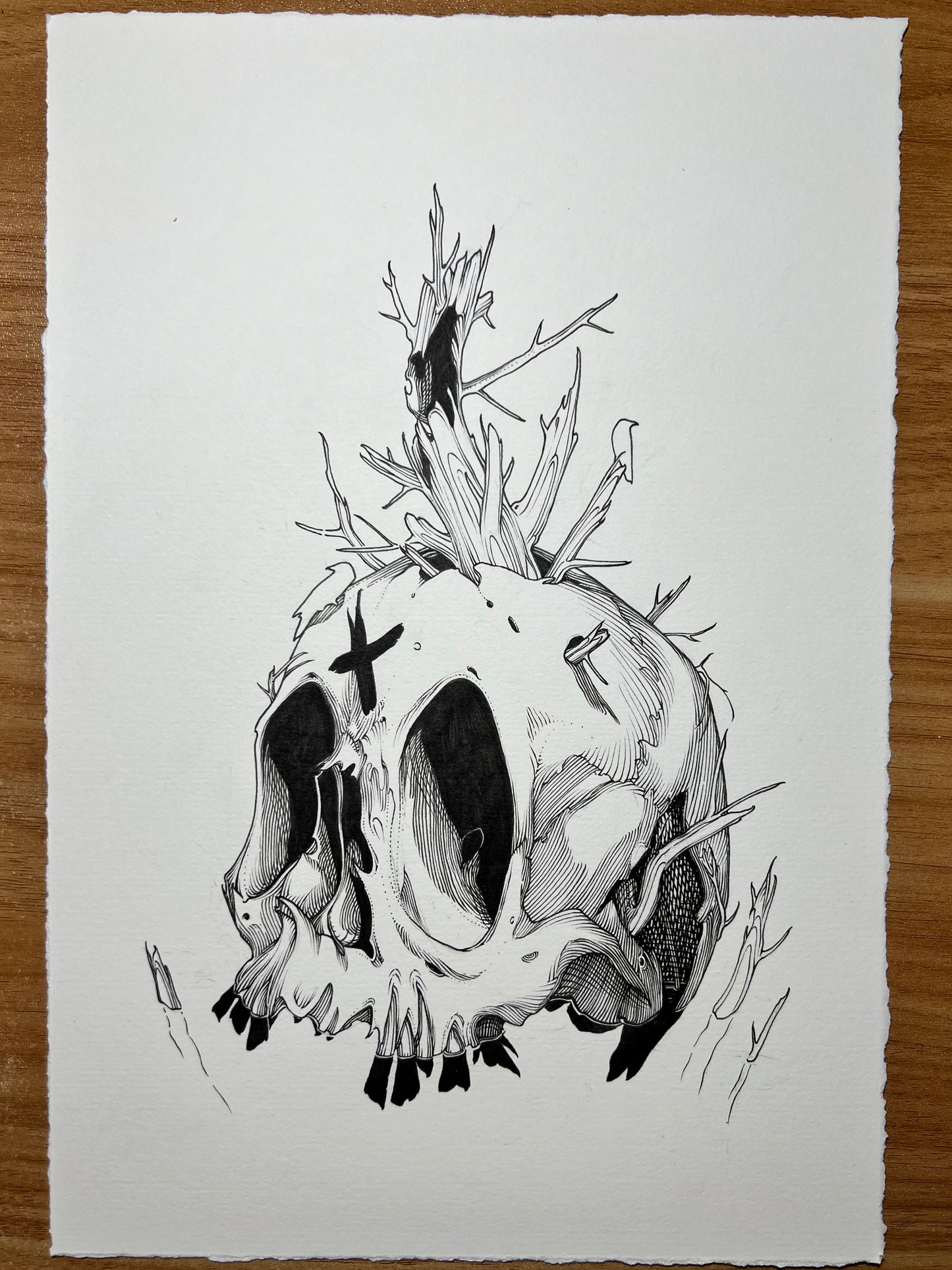 Emerge ORIGINAL