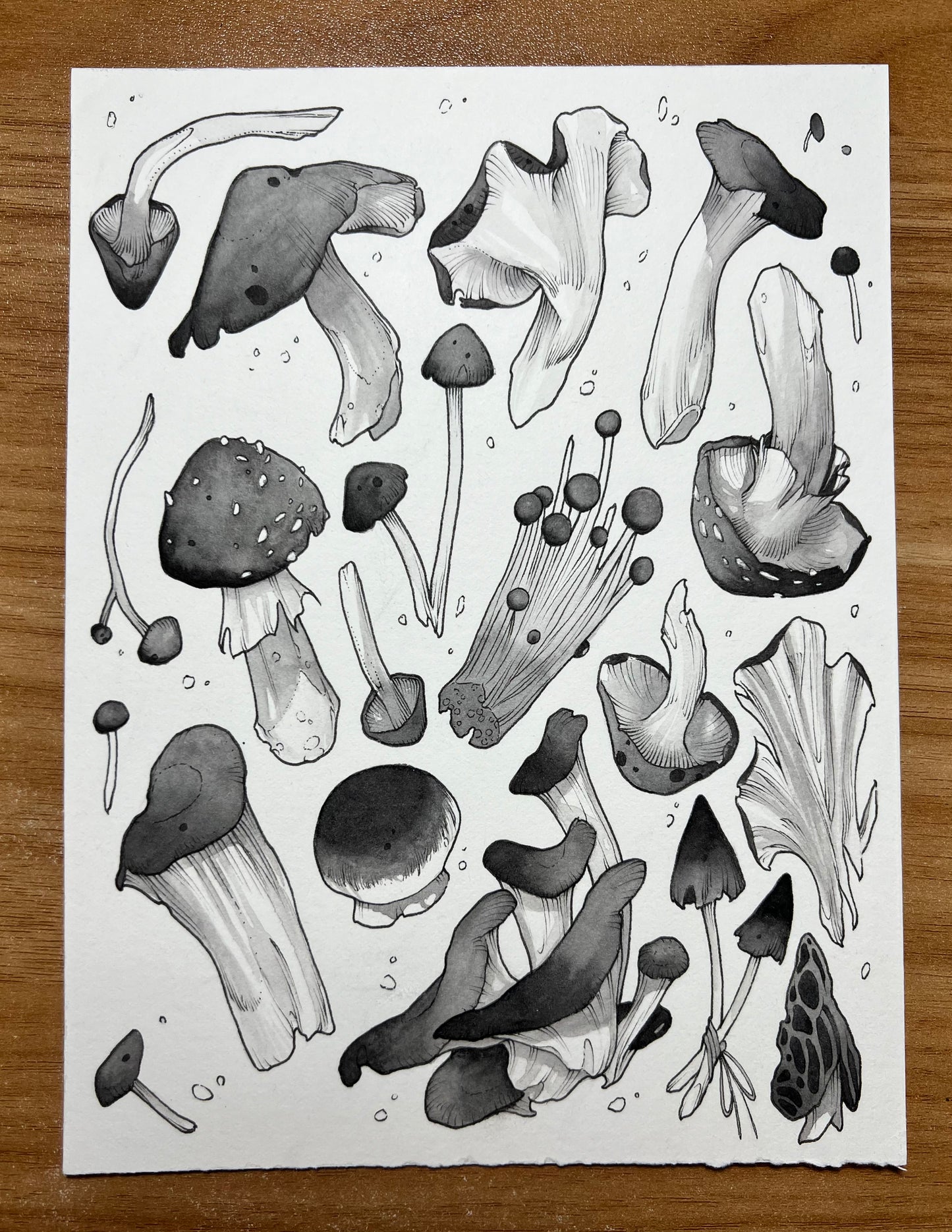 Mushroom Flash ORIGINAL
